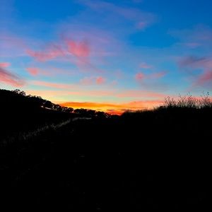 Meet your Posher, Bella